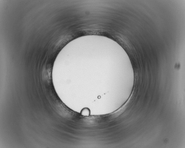 X0000090600190200708141338