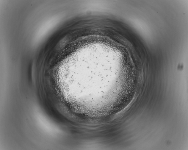 X0000090600191200708141338