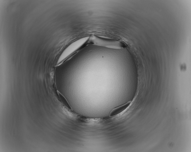 X0000090600192200708141338