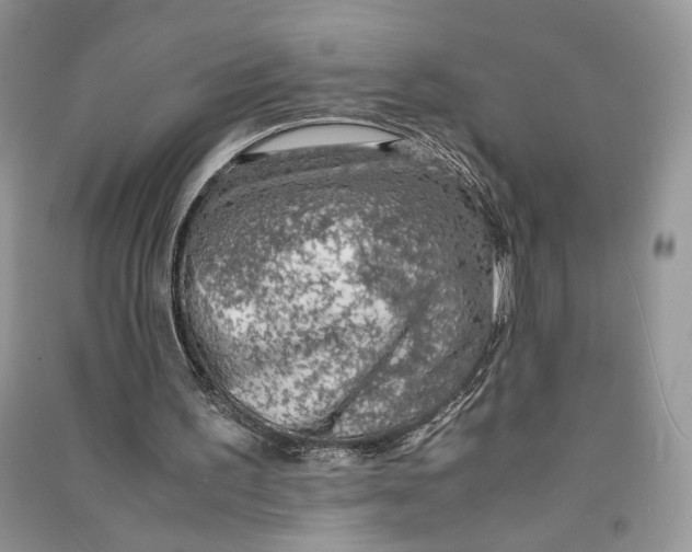 X0000090600195200708141338