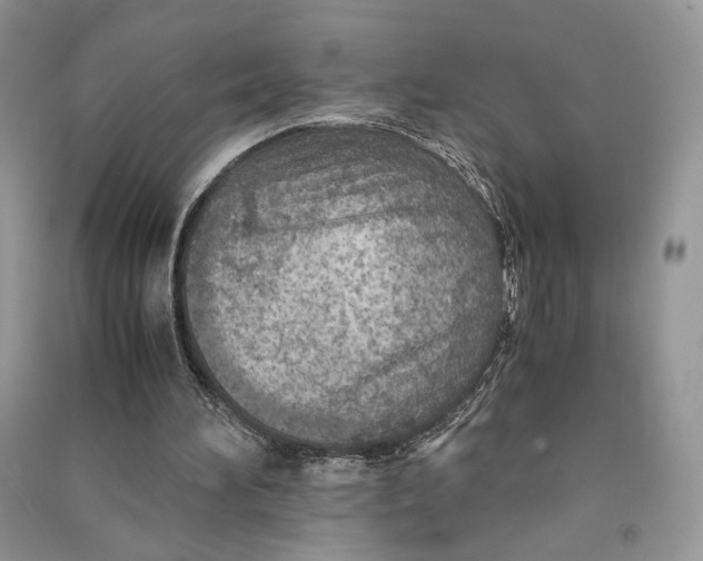 X0000090600196200708141338