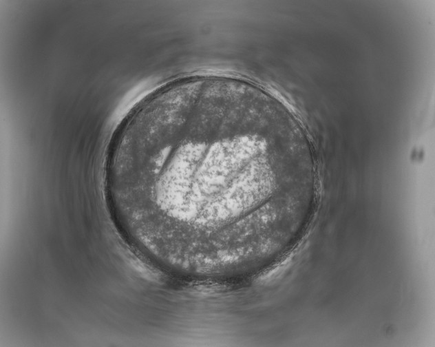 X0000090600199200708141338