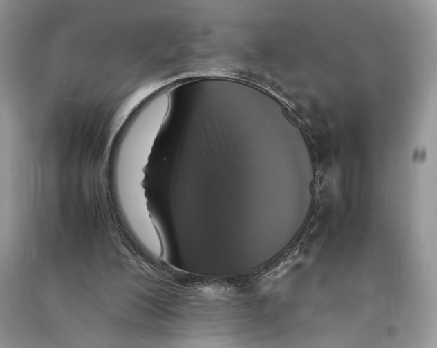 X0000090600200200708141338