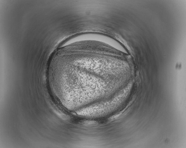 X0000090600203200708141338