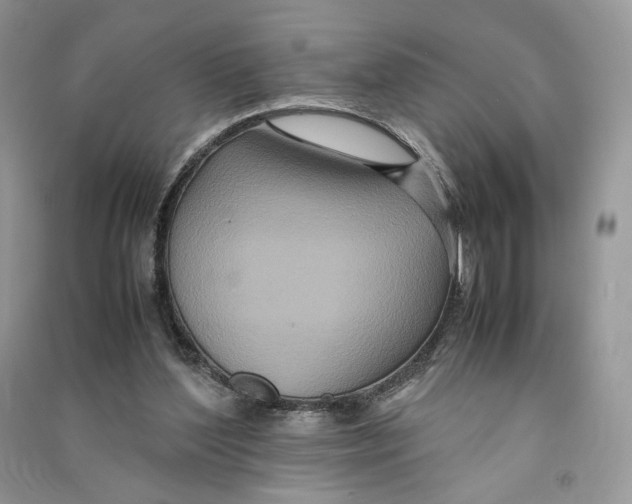 X0000090600204200708141338