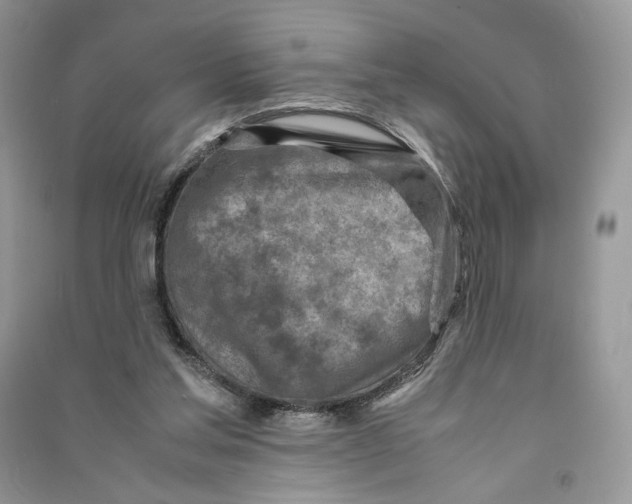 X0000090600205200708141337