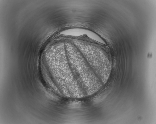 X0000090600206200708141337