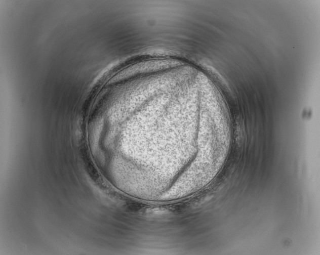 X0000090600208200708141337