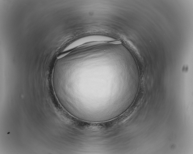 X0000090600209200708141337