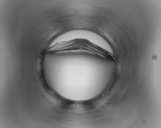 X0000090600211200708141337