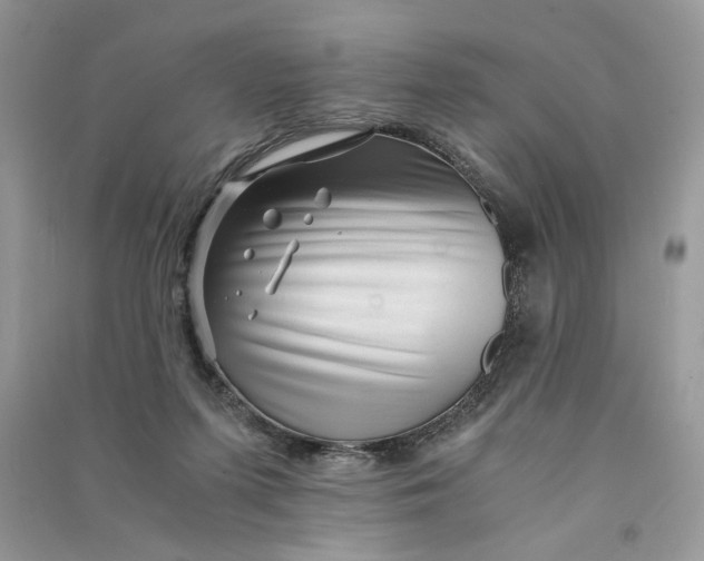 X0000090600215200708141337