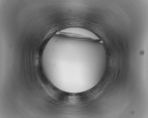 X0000090600216200708141337