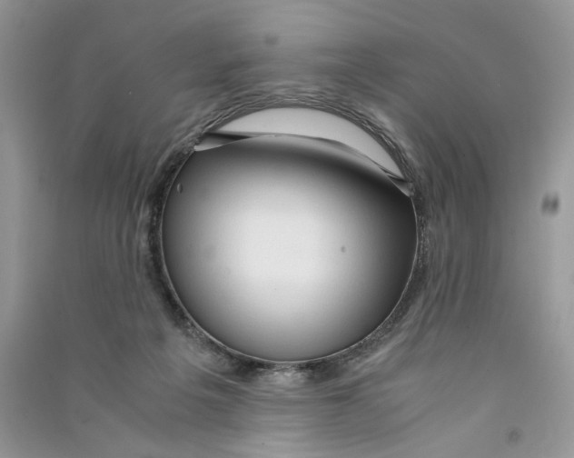 X0000090600217200708141337