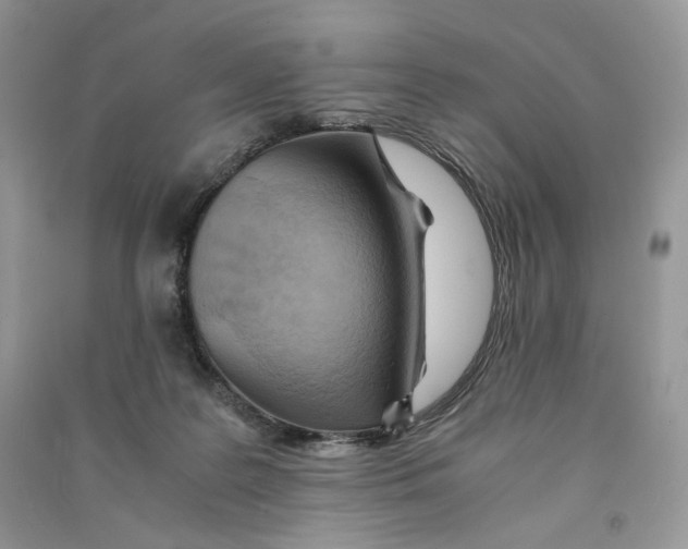 X0000090600219200708141337