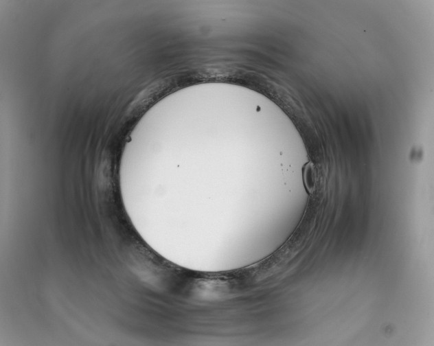 X0000090600220200708141337