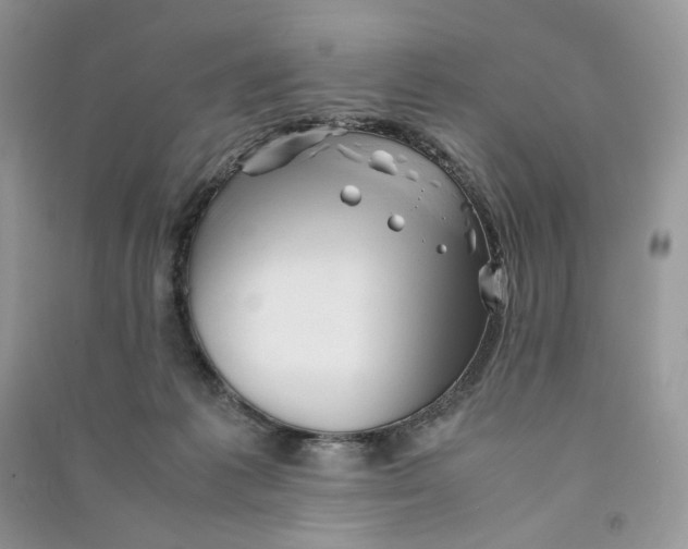 X0000090600221200708141337