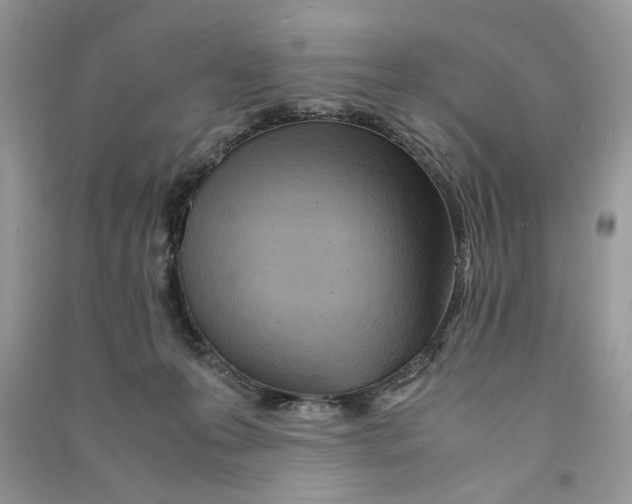 X0000090600223200708141337