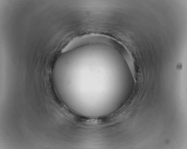 X0000090600225200708141337