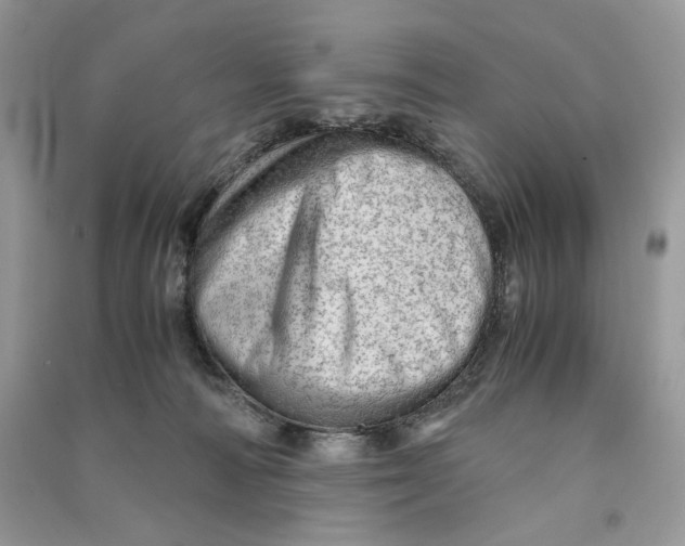 X0000090600226200708141337