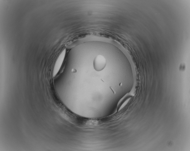 X0000090600227200708141337