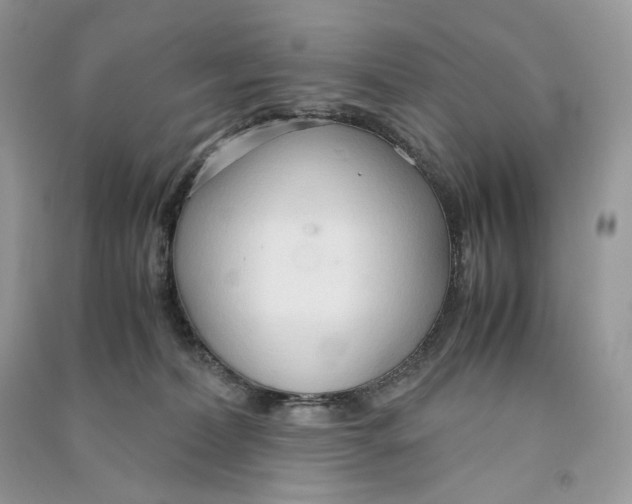 X0000090600228200708141337