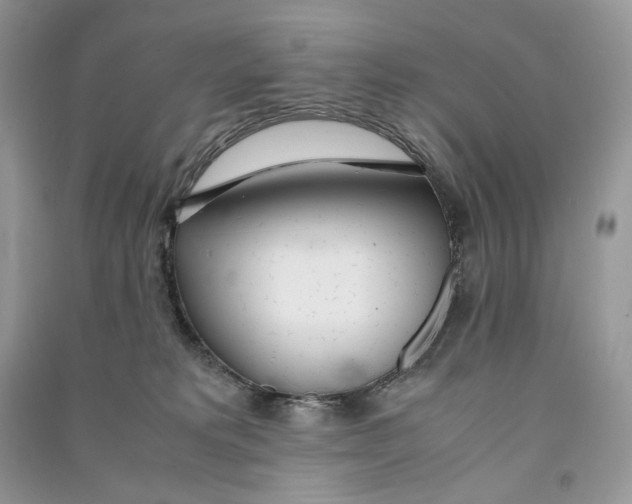 X0000090600229200708141337