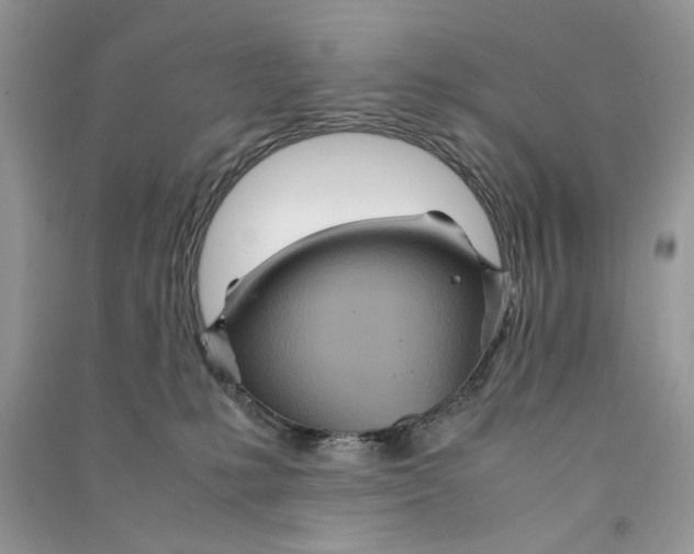 X0000090600231200708141337