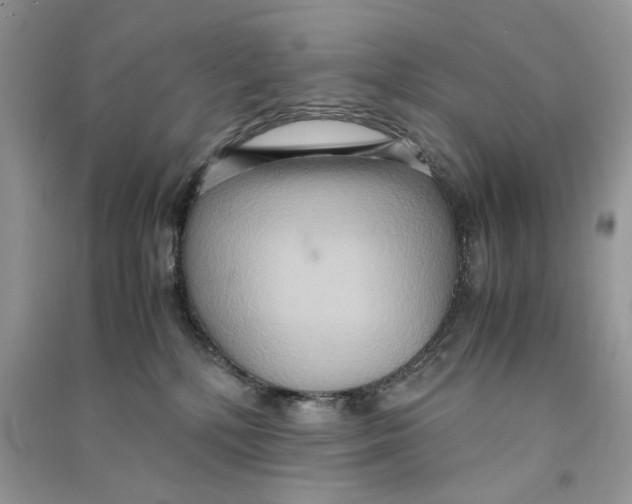 X0000090600232200708141337