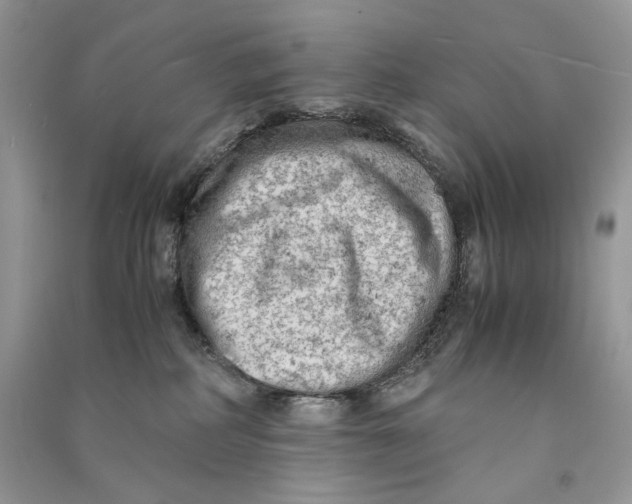 X0000090600234200708141337