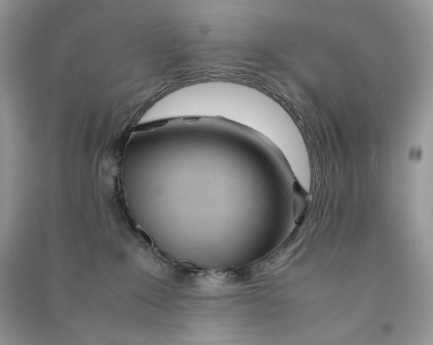 X0000090600235200708141337