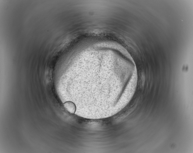 X0000090600236200708141337