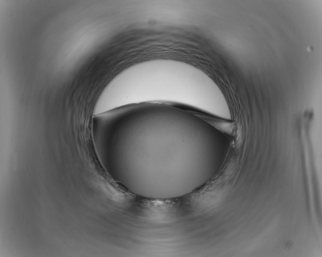 X0000090600239200708141337