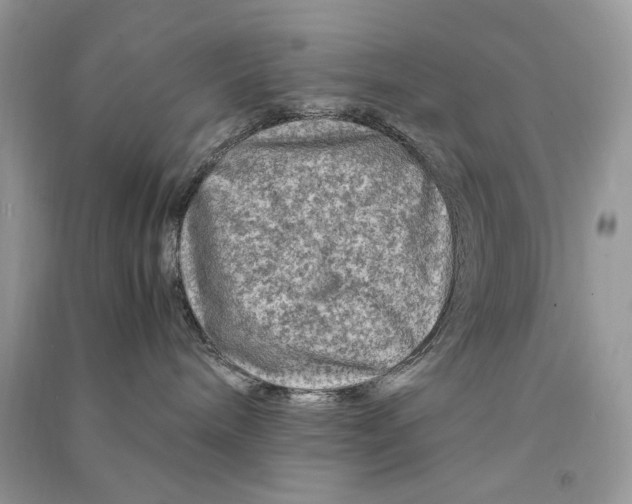 X0000090600240200708141337