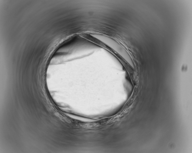 X0000090600241200708141336