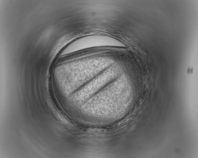 X0000090600242200708141336