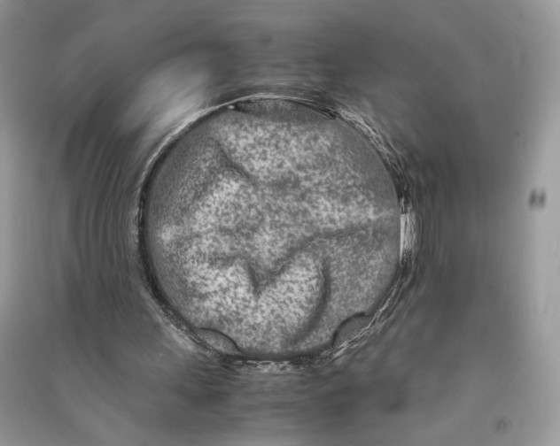 X0000090600243200708141336