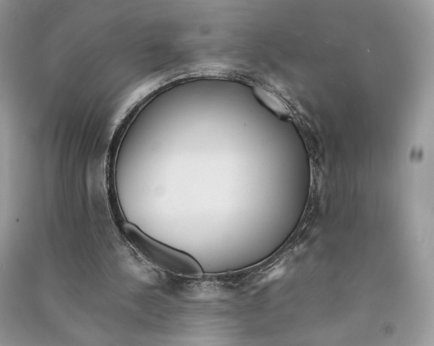 X0000090600244200708141337