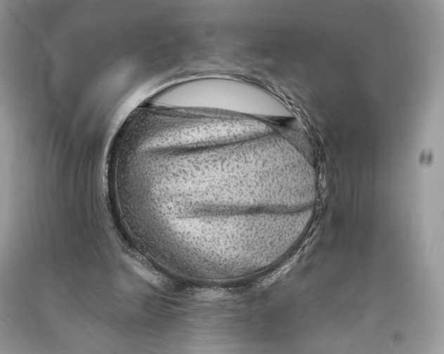 X0000090600246200708141337