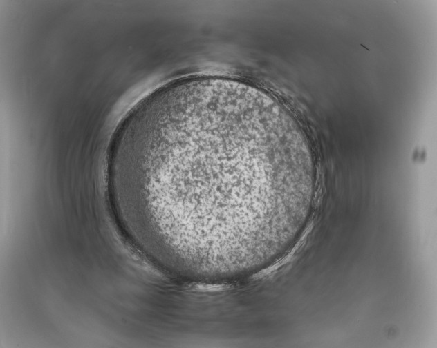 X0000090600247200708141337