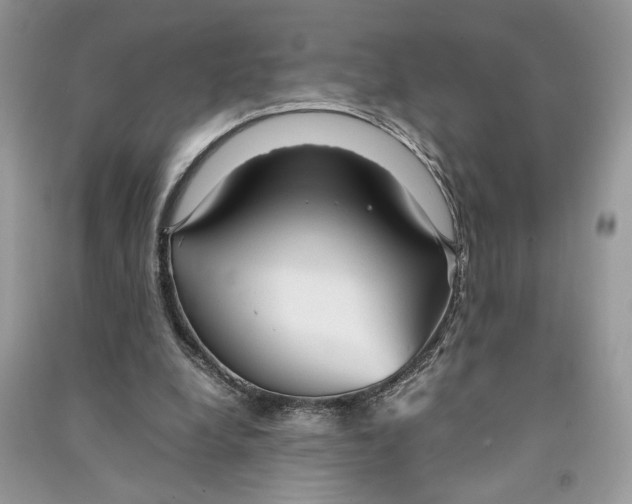 X0000090600248200708141337