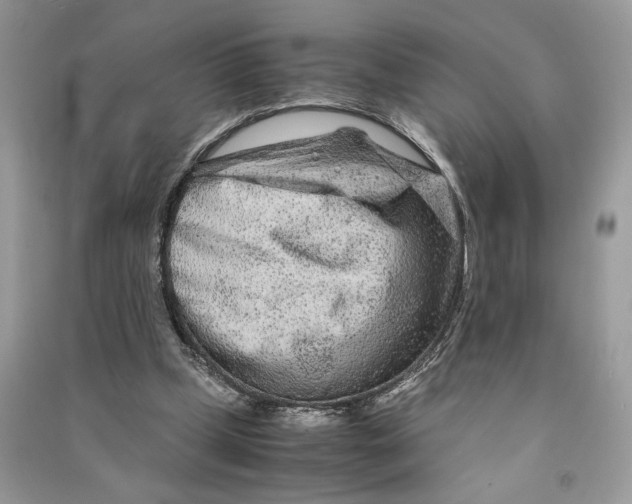 X0000090600249200708141337