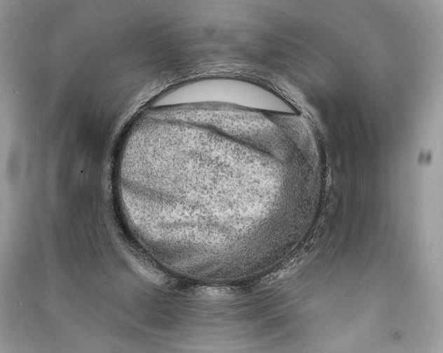 X0000090600250200708141337