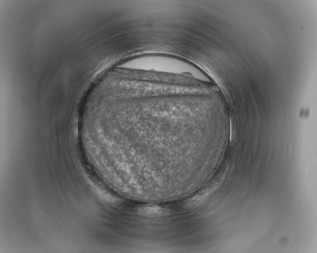 X0000090600253200708141337