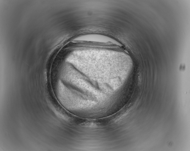 X0000090600254200708141337