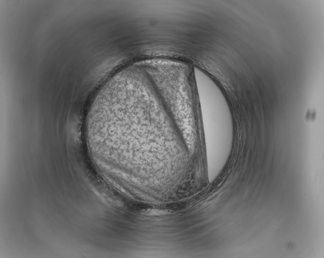 X0000090600255200708141337