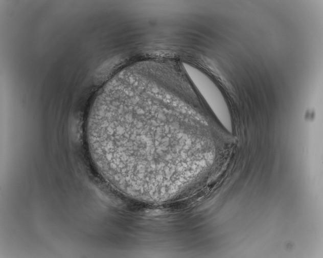 X0000090600259200708141337