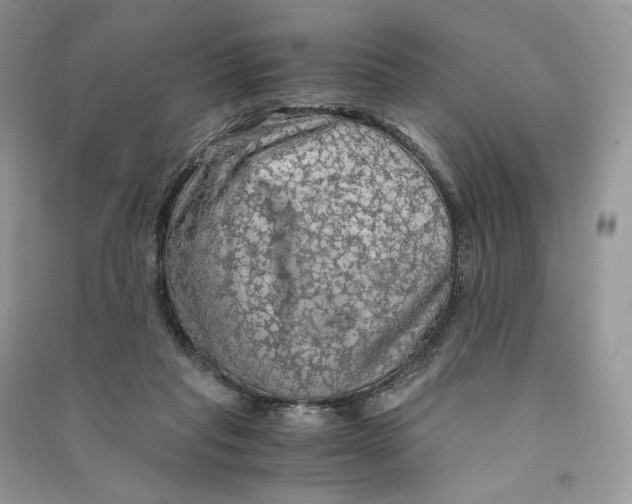 X0000090600261200708141337