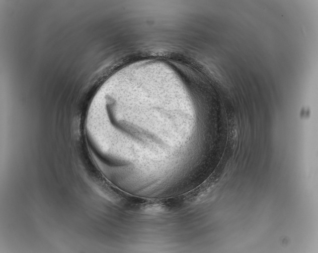 X0000090600262200708141337