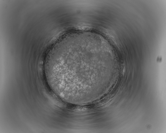 X0000090600263200708141337