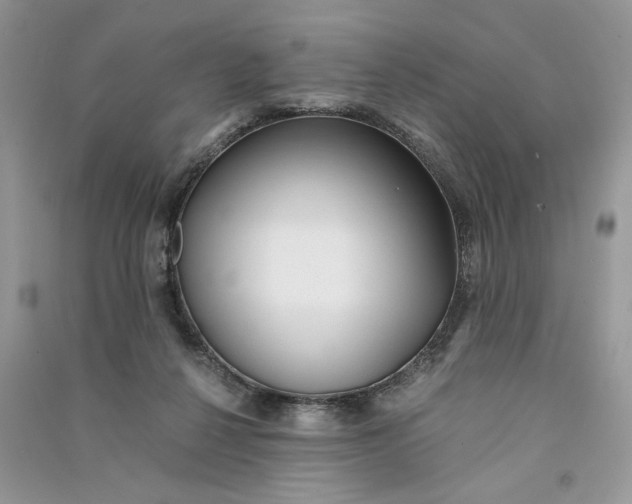 X0000090600264200708141337